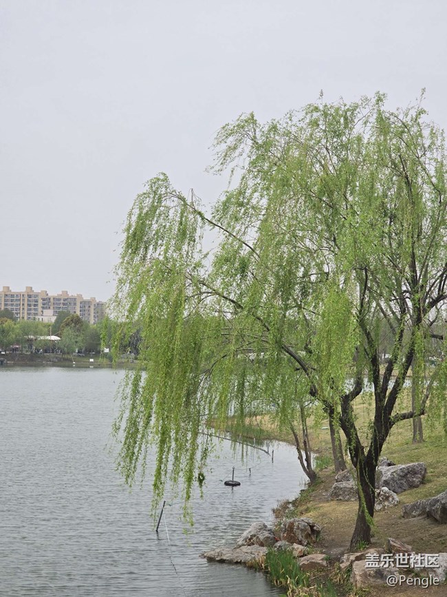 【閔行文化公園線下攝影活動(dòng)】+活動(dòng)回顧貼