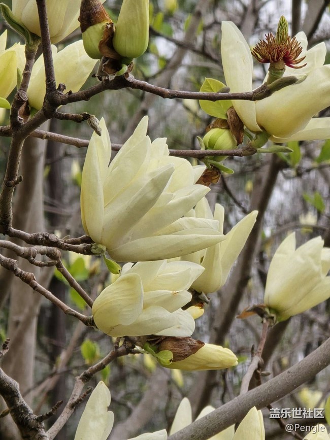 【閔行文化公園線下攝影活動(dòng)】+活動(dòng)回顧貼