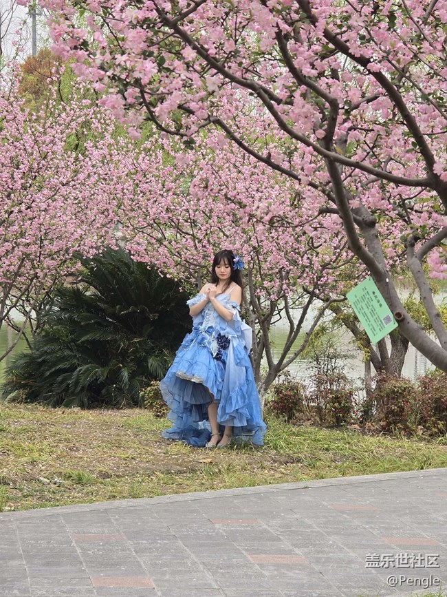 【閔行文化公園線下攝影活動(dòng)】+活動(dòng)回顧貼