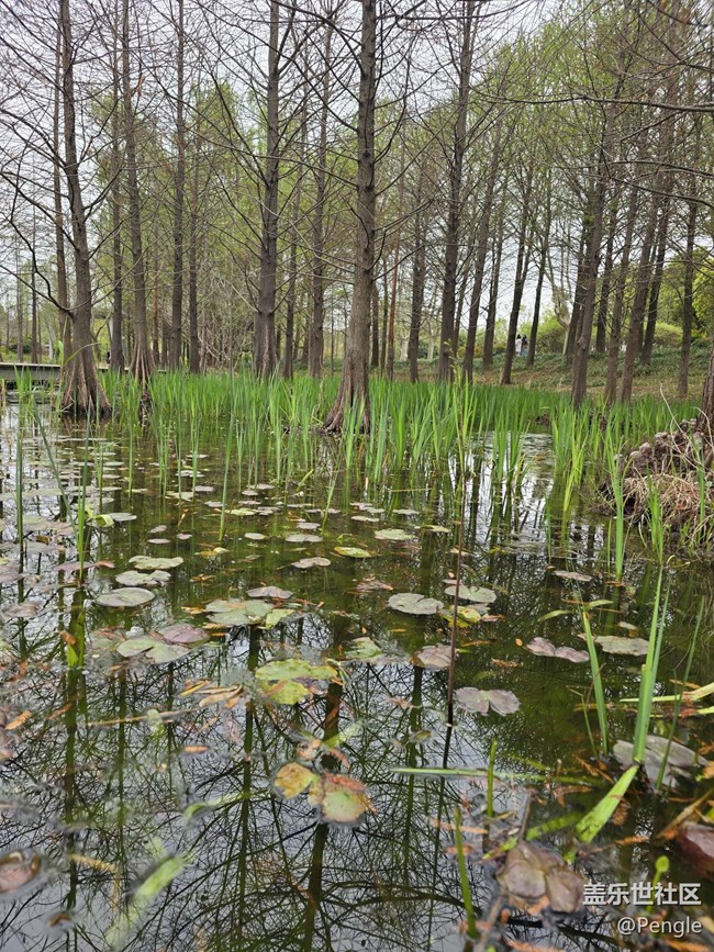 【閔行文化公園線下攝影活動(dòng)】+活動(dòng)回顧貼