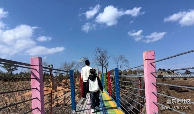 【春日盛景】游玩