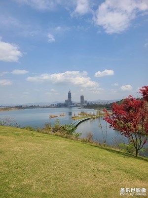 【人間四月天】+春風(fēng)和煦興隆湖