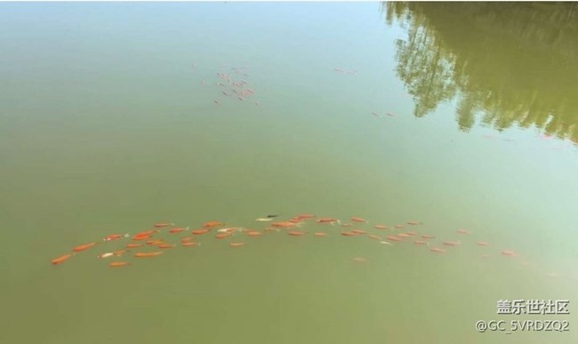 【春日盛景】游玩