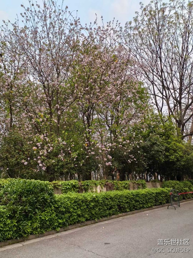 【春天的故事】城間閑行，味享時光