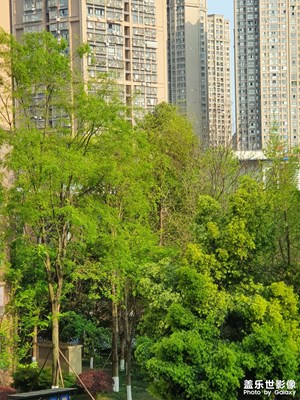 【人間四月天】+S10十代領(lǐng)先時(shí)代