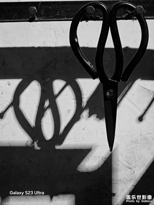 【人間四月天】+黑白四月