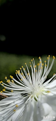 四月芳菲，美好如約而至