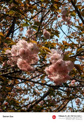 【人間四月天】風(fēng)