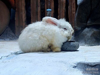 【人間四月天】+不看花草看動物