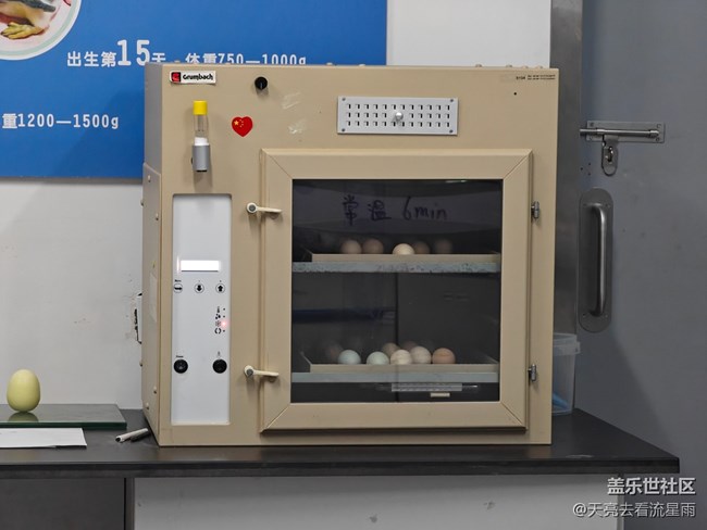 【清明踏春季】看企鵝