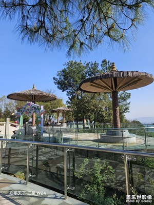 【人間四月天】陽光明媚