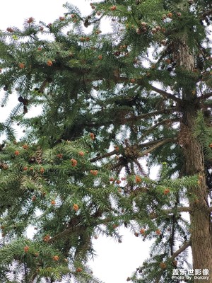 【人間四月天】春天的氣息