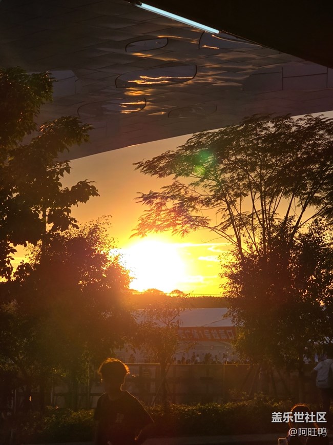 【城市蘇醒】+春夏秋冬