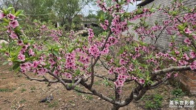 【人間四月天】+鄉(xiāng)村四月