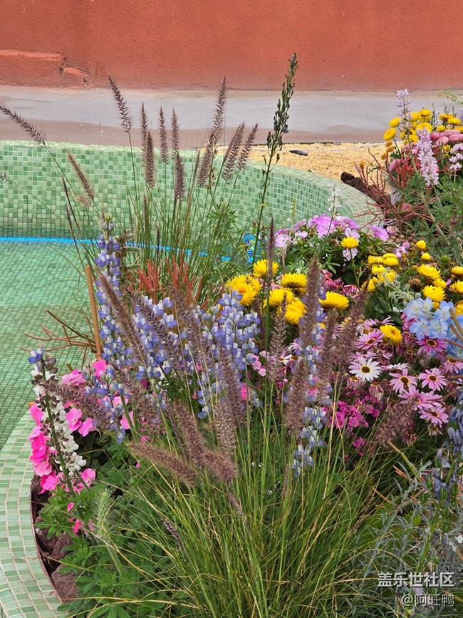 【城市蘇醒】+春夏秋冬