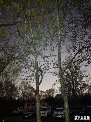 三星的相機還是很強大的！