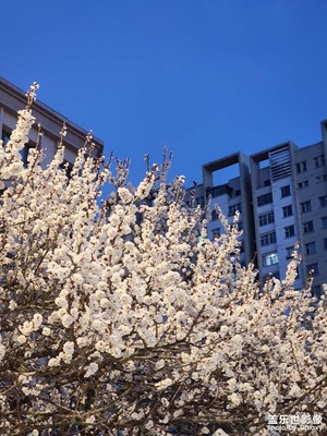 【春之夜】夜拍杏花街