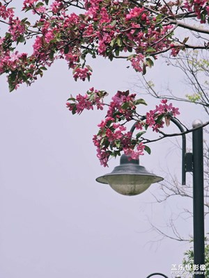 【人間四月天】不負(fù)春光與時(shí)行