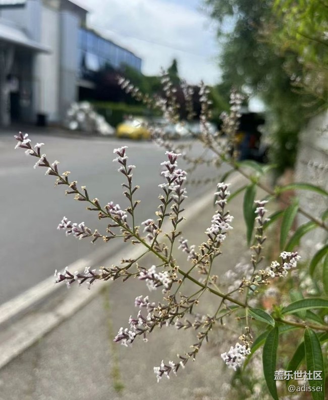 【春色撩人】花的季節(jié)