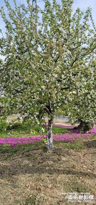 【人間四月天】隨心拍