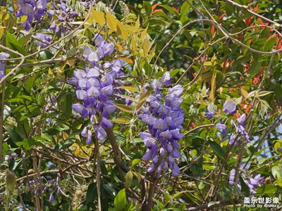 【人間四月天】公園漫步