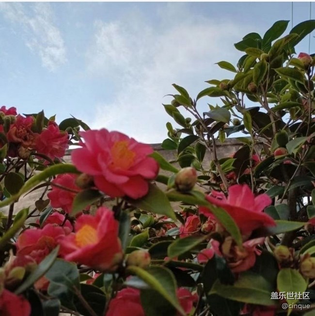 【清明踏春季】好風(fēng)景