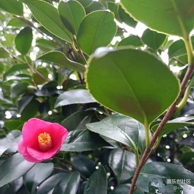 【清明踏春季】好風(fēng)景