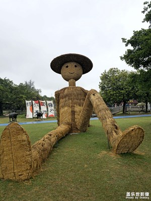   自然與創(chuàng)意交織的奇妙之旅。