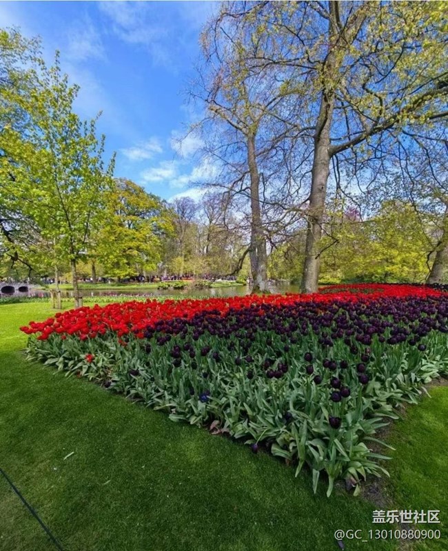 【春色撩人】花園