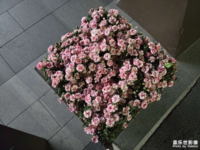 【人間四月天】+吃美食，逛商店