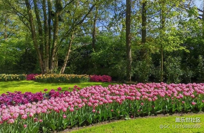 【春色撩人】花園