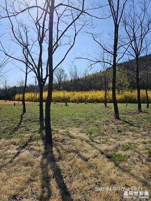 【人間四月天】+清明時節(jié)