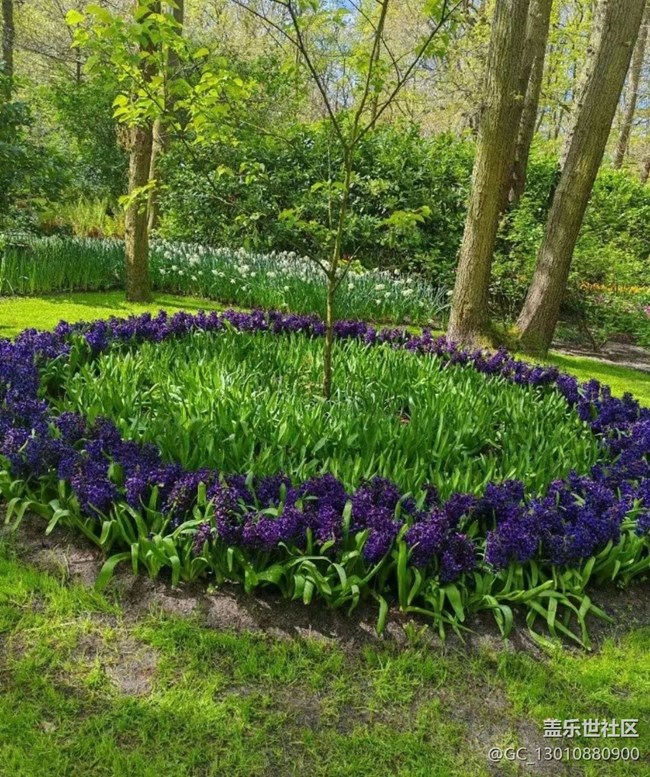 【春色撩人】花園