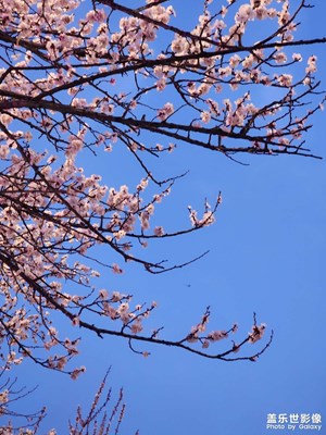 【春之夜】夜拍杏花街（二）