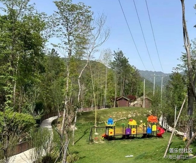 【春日盛景】周末公園