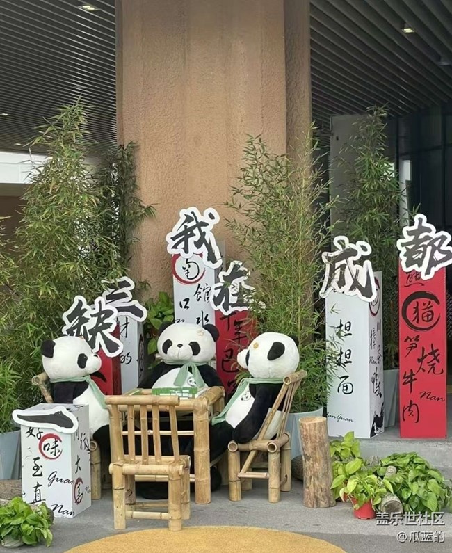 【春游記】成都看熊貓