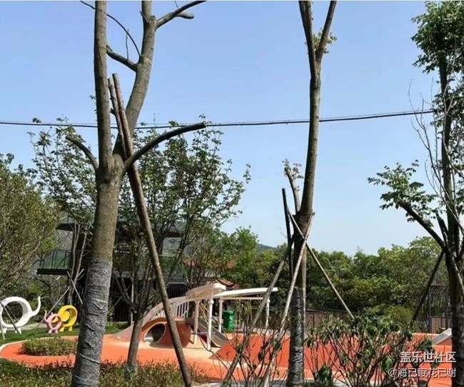 【春日盛景】周末公園