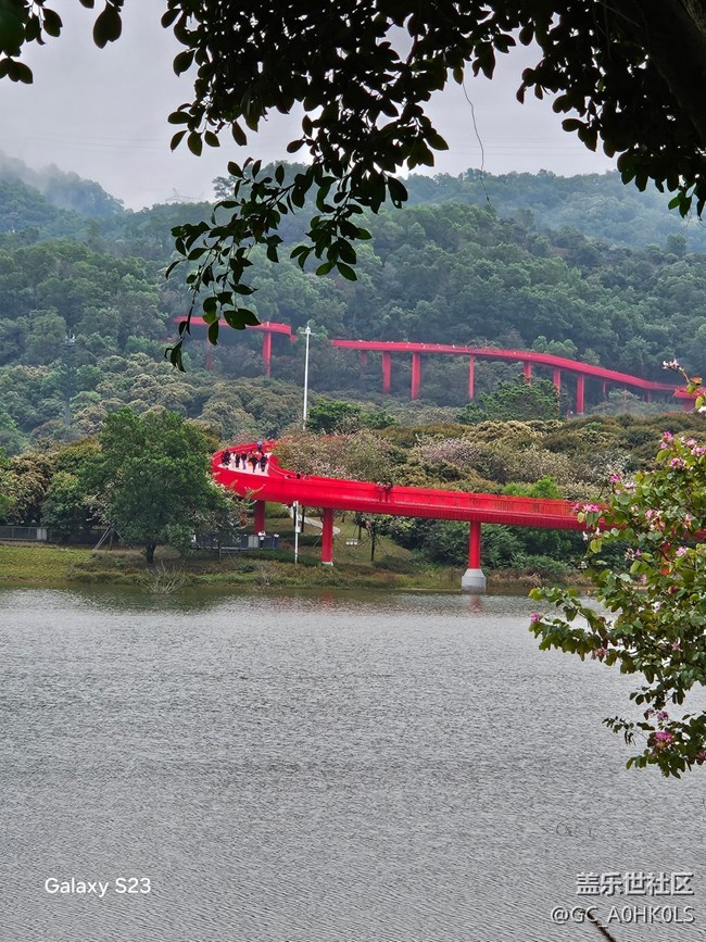 【活動(dòng)回顧】虹橋紅橋