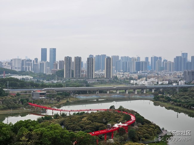 【活動回顧】虹橋公園