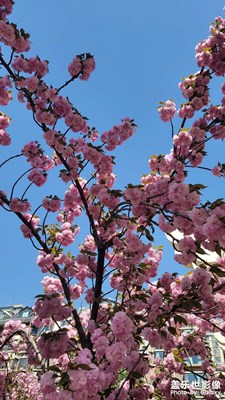 小區(qū)春天里