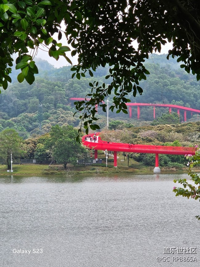 【活動(dòng)回顧】虹橋公園