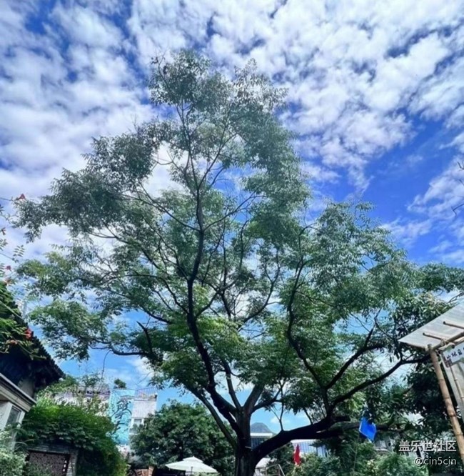 【春日盛景】春景