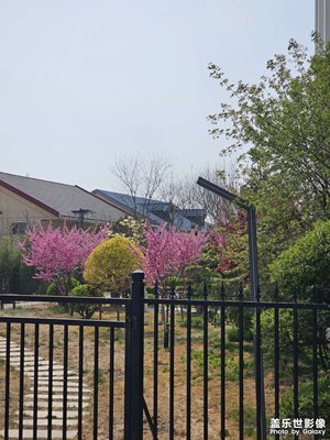 【人間四月天】+繁花似錦