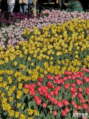 【人間四月天】+春天逛公園