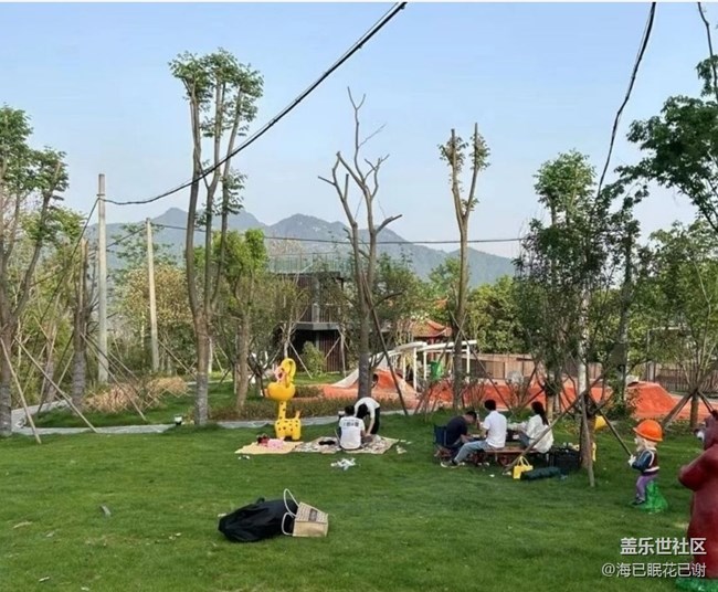 【春日盛景】周末公園