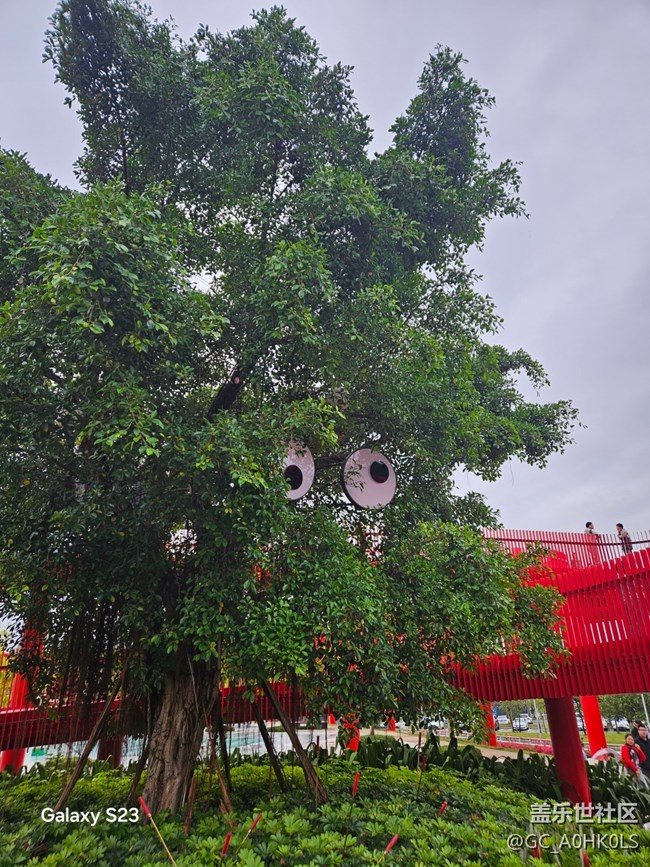 【活動(dòng)回顧】虹橋紅橋