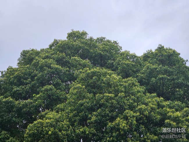 【清明踏春季】+清明踏青