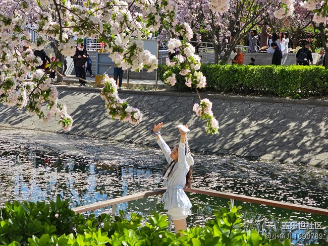【拈花拾趣】花美人更美