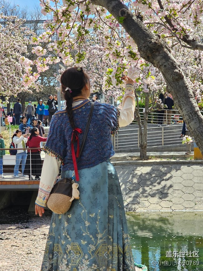 【拈花拾趣】花美人更美