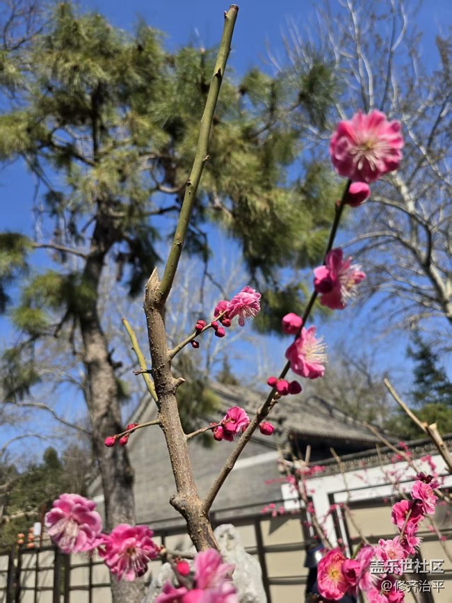 【拈花拾趣】藍天白云草青青